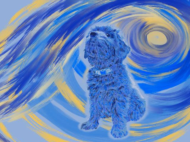 A small grey dog sitting and looking up, painted against swirling blue and gold brushstrokes in the manner of a starry night.